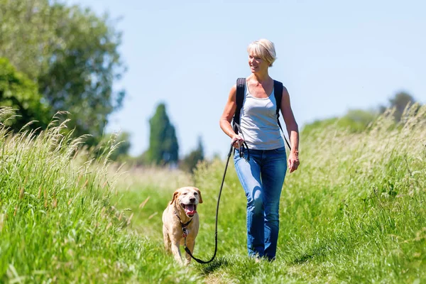 Mature woman hiking with dog in the landscape Royalty Free Stock Images