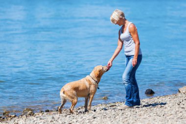 labrador nehir ile olgun kadın