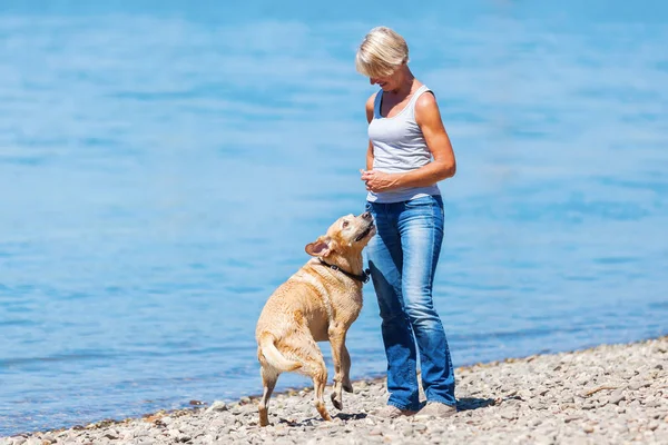 Mogen kvinna leker med en hund vid floden — Stockfoto