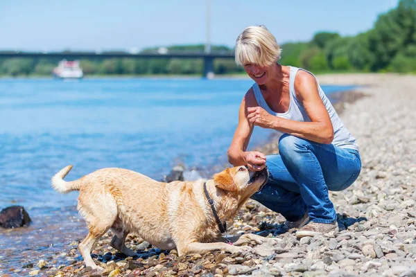 Mature woman with labrador riverside — Stock Photo, Image