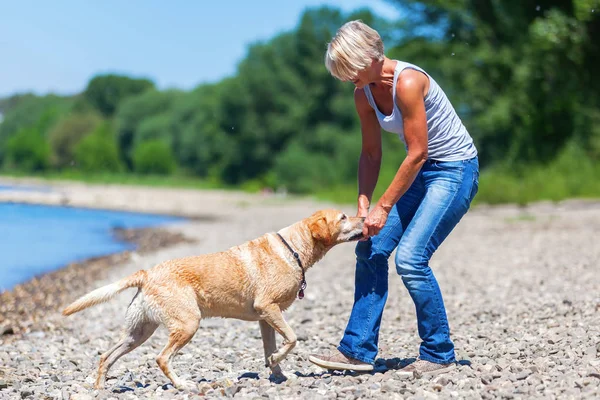 Donna matura con labrador riverside — Foto Stock