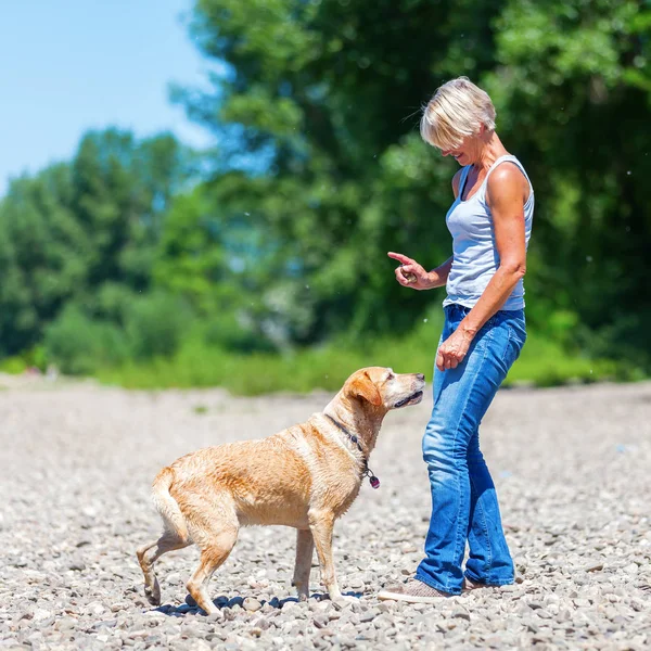 Mature woman with labrador riverside — Stock Photo, Image