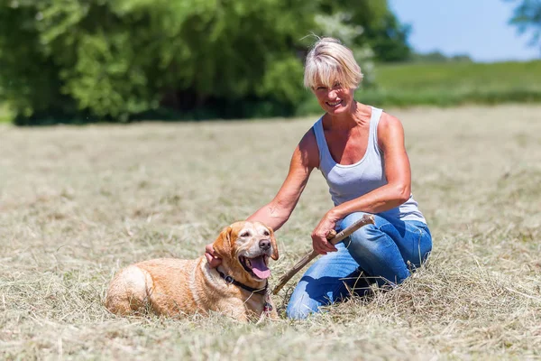 Porträt einer Frau mit Hund in einem Heufeld — Stockfoto