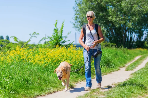 Mature woman with dog taking hiking in the country — Stock Photo, Image