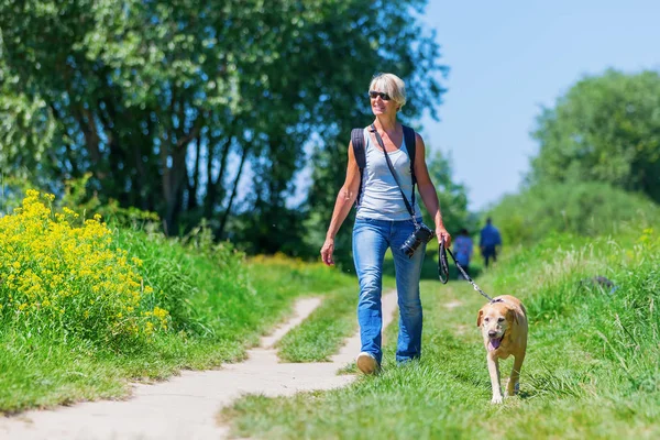 Mature woman with dog taking hiking in the country — Stock Photo, Image