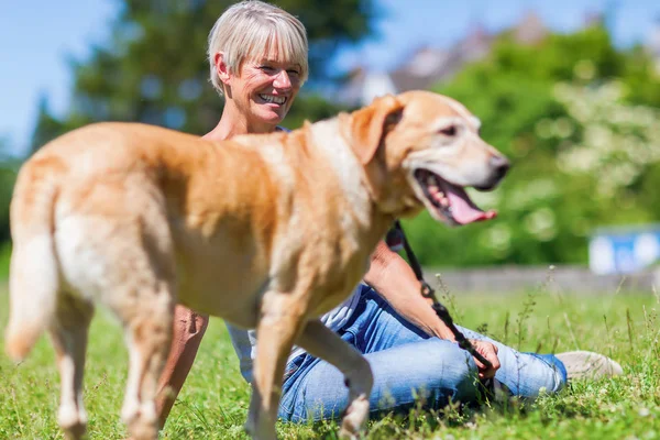 Mulher madura com um cão ao ar livre — Fotografia de Stock