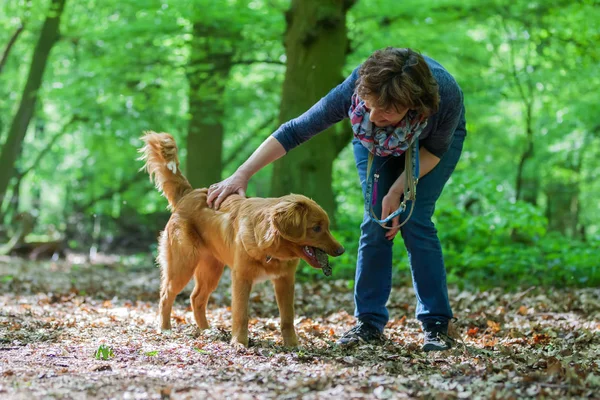 Mulher com seus cães na floresta — Fotografia de Stock