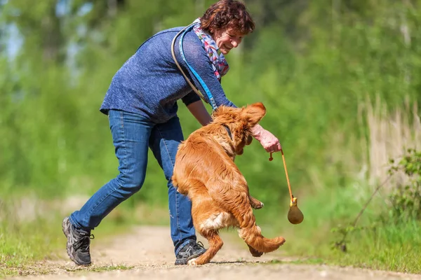 Donna gioca con una Nova Scotia anatra tolling retriever — Foto Stock