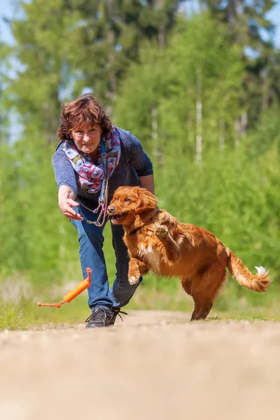 Donna gioca con una Nova Scotia anatra tolling retriever — Foto Stock