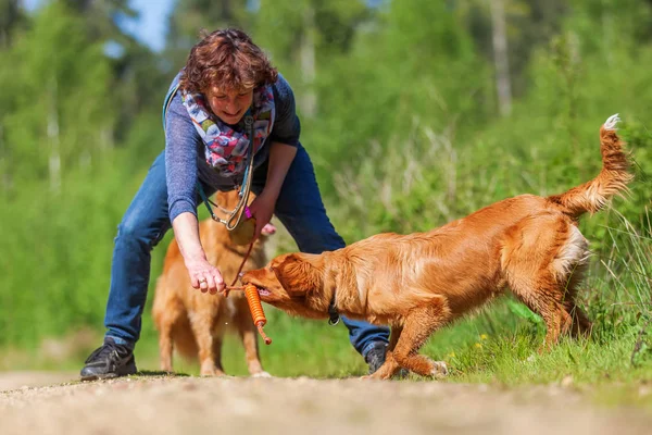 Donna gioca con Nova Scotia anatra tolling retriever — Foto Stock