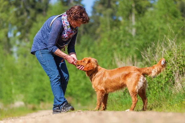 Donna gioca con una Nova Scotia anatra tolling retriever — Foto Stock