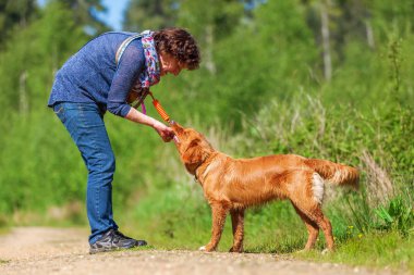 kadın bir Nova Scotia duck tolling retriever çalış