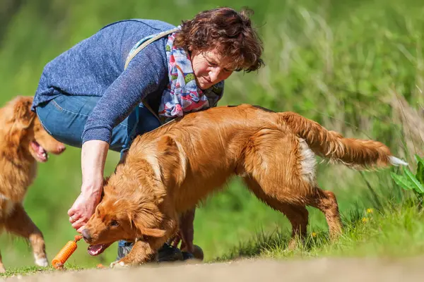 Donna gioca con una Nova Scotia anatra tolling retriever — Foto Stock