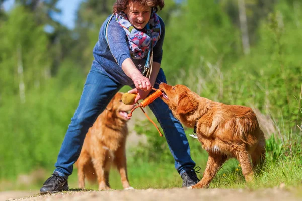 Frau spielt mit Nova Scotia Ente Maut-Retriever — Stockfoto