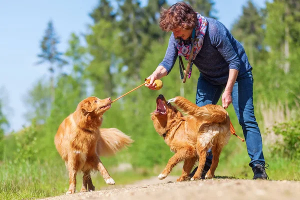 Donna gioca con Nova Scotia anatra tolling retriever — Foto Stock