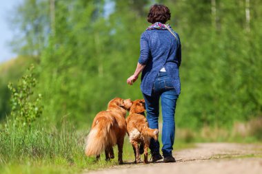 Nova Scotia duck tolling retriever kadın çalış