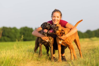 genç kız iki boksör köpek hugs