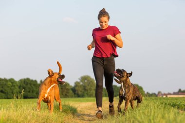 genç kız iki boksör köpeklerle jogs