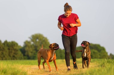genç kız iki boksör köpeklerle jogs