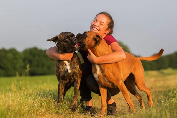Joven chica abraza dos boxeador perros — Foto de Stock