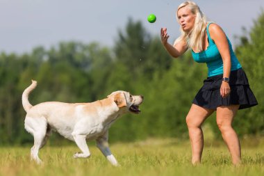 çayır üzerinde bir köpekle kadın çalış