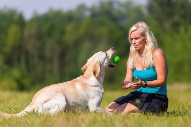 çayır üzerinde bir köpekle kadın çalış