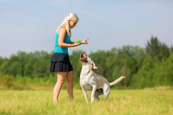 Жінка грає з собакою на лузі — стокове фото
