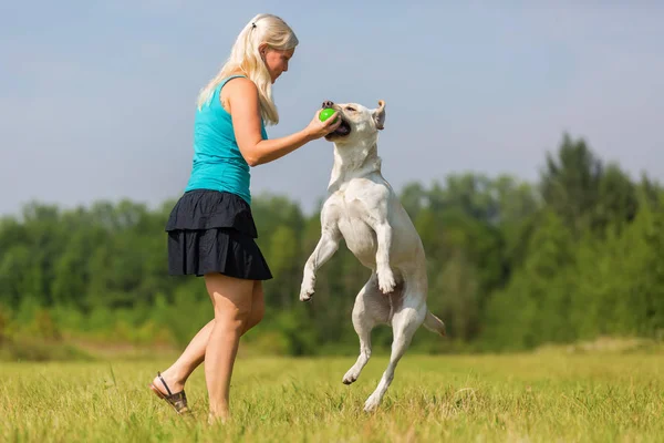 Mujer juega con un perro en el prado — Foto de Stock