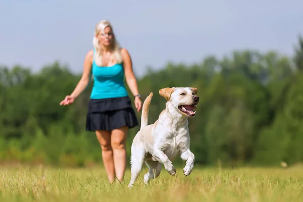 Woman plays with a dog on the meadow — Stock Photo, Image