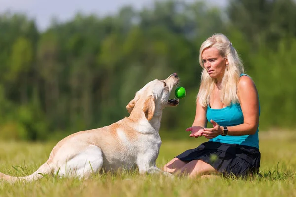 Donna gioca con un cane sul prato — Foto Stock