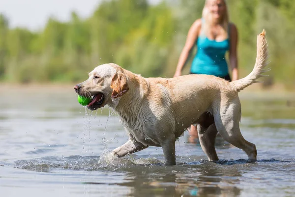 Wanita bermain dengan anjing di danau — Stok Foto
