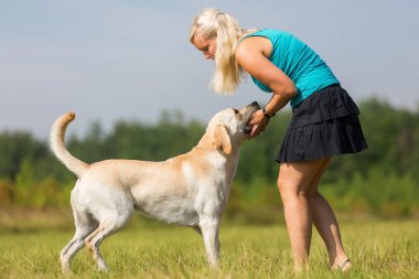 Olgun kadın bir labrador ile açık havada çalış