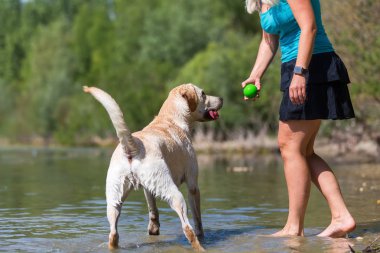 Olgun kadın gölde bir labrador çalış
