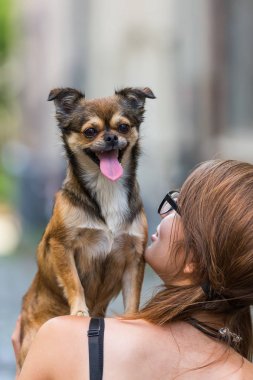 genç kadın bir küçük köpek omzuna vardır.