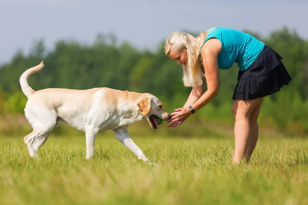 Olgun kadın bir labrador ile açık havada çalış
