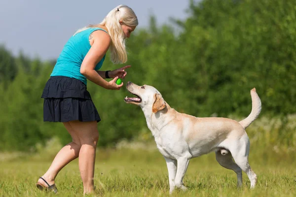 Donna matura gioca con un labrador all'aperto — Foto Stock