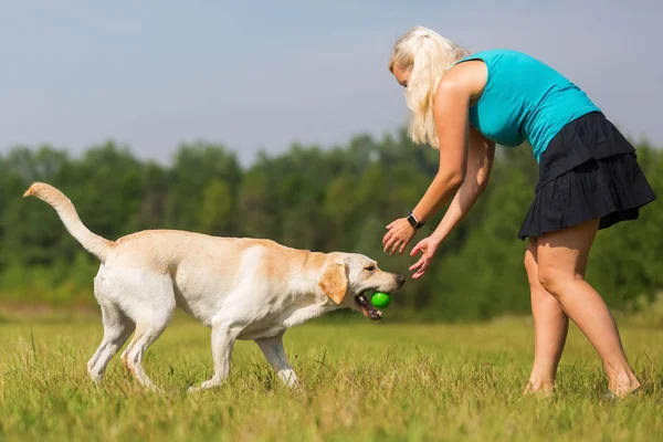 Donna matura gioca con un labrador all'aperto — Foto Stock