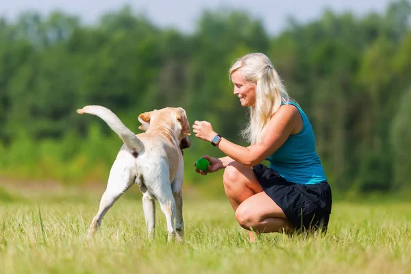 Starsza kobieta odgrywa z labrador na zewnątrz — Zdjęcie stockowe