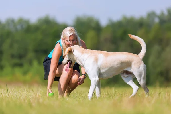 Starsza kobieta odgrywa z labrador na zewnątrz — Zdjęcie stockowe