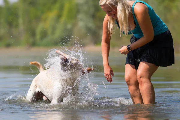 Olgun kadın gölde bir labrador çalış