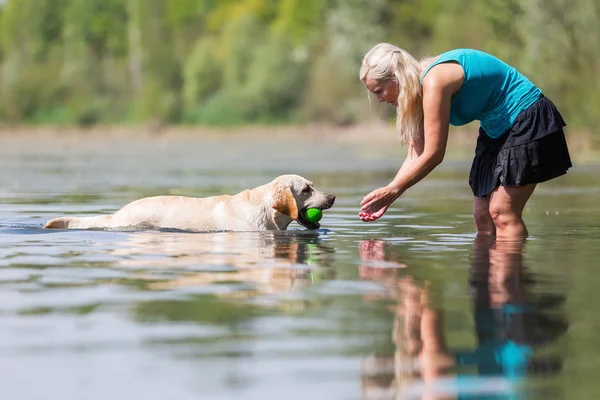 Mature woman plays with a labrador in the lake — Stock Photo, Image