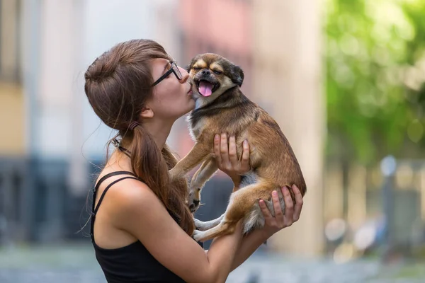 Young woman holding a small dog in the hands — Stock Photo, Image