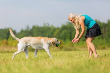 Olgun kadın bir labrador ile açık havada çalış