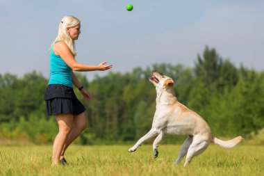 Olgun kadın bir labrador ile açık havada çalış