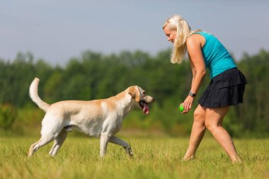 Olgun kadın bir labrador ile açık havada çalış