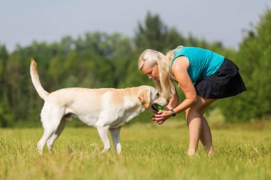 Olgun kadın bir labrador ile açık havada çalış