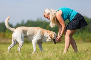 Olgun kadın bir labrador ile açık havada çalış