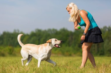 Olgun kadın bir labrador ile açık havada çalış