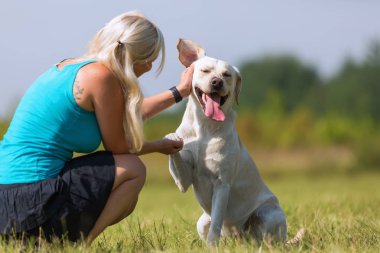 Olgun kadın bir labrador ile açık havada çalış
