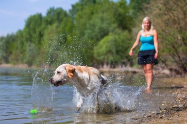Olgun kadın gölde bir labrador çalış
